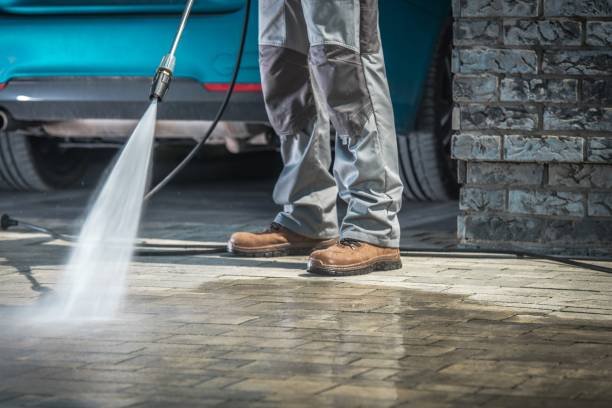 Animal Enclosure Cleaning in Carlisle, OH