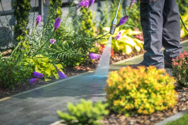 Professional Pressure Washing Services in Carlisle, OH